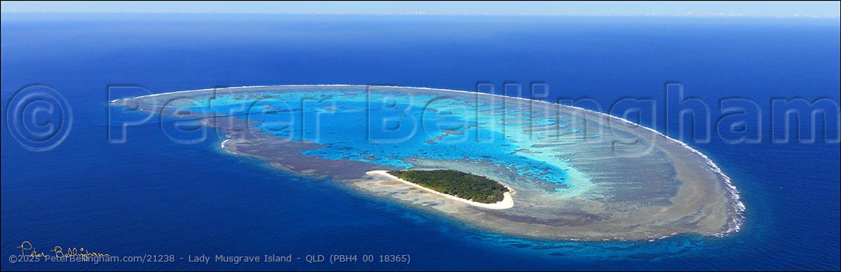 Peter Bellingham Photography Lady Musgrave Island - QLD (PBH4 00 18365)